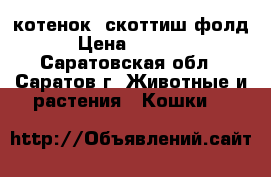 котенок  скоттиш фолд › Цена ­ 3 000 - Саратовская обл., Саратов г. Животные и растения » Кошки   